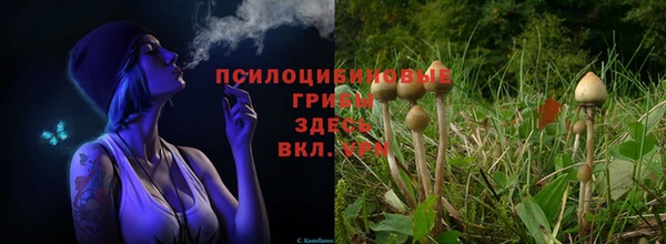 кокаин колумбия Нязепетровск