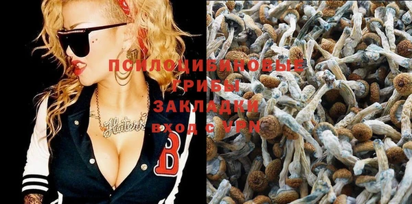 MDMA Няндома