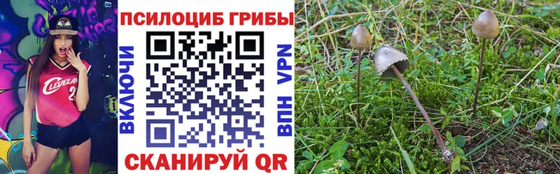 Псилоцибиновые грибы Psilocybe  мега зеркало  Горячеводский 